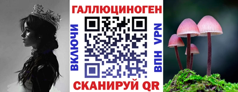 Псилоцибиновые грибы прущие грибы  Трубчевск 